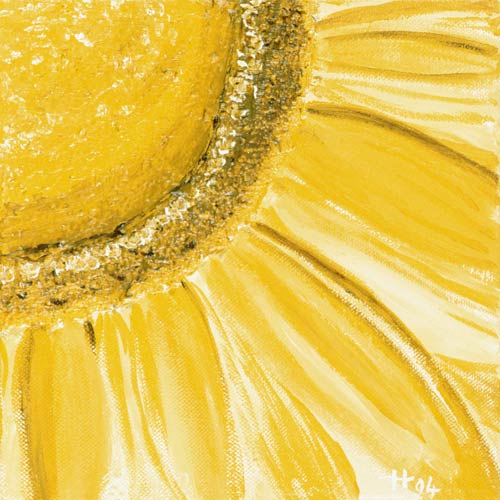 Sunflower a Arthelga