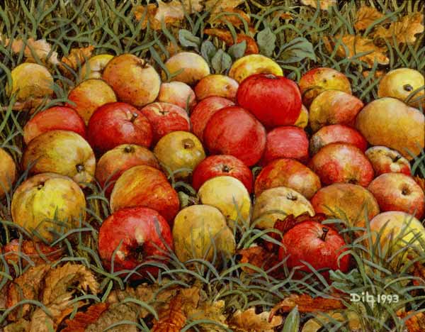 Durnitzhofer Apples, 1993 a Ditz 