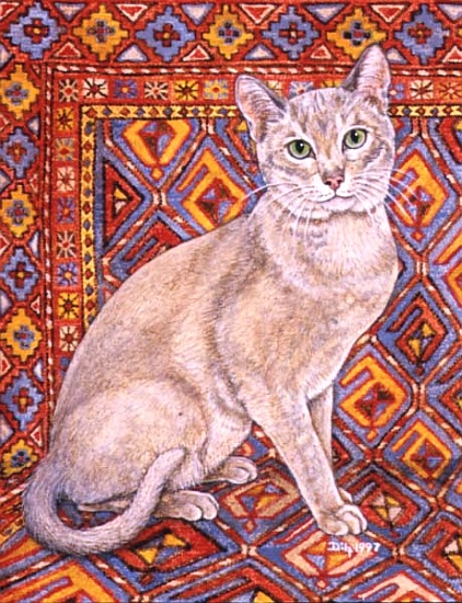 Abyssinian Carpet-Patch a Ditz 