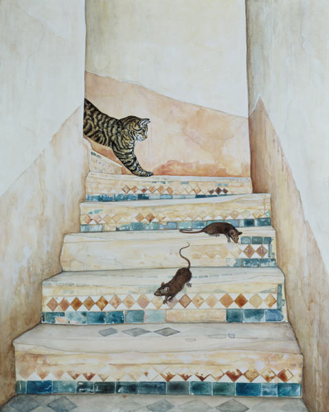Ben Youssef''s Staircase  a Ditz 