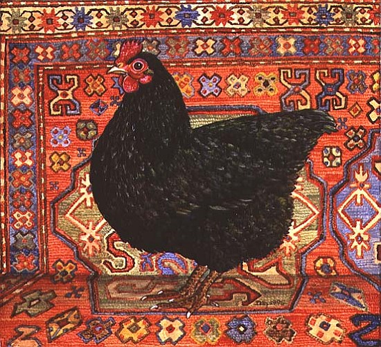 Black Carpet Chicken, 1995  a Ditz 