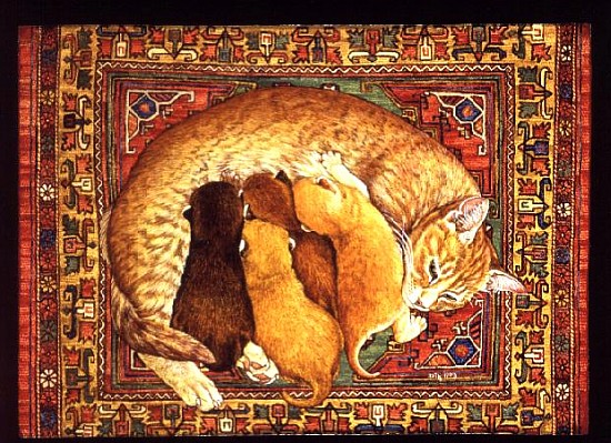 Carpet-Kittens  a Ditz 