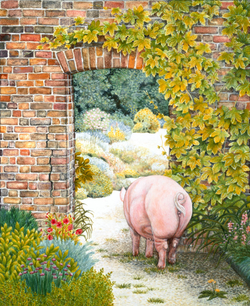 The Convent Garden Pig  a Ditz 