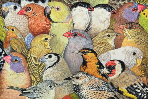 Patchwork-Birds, 1995 (acrylic on panel)  a Ditz 