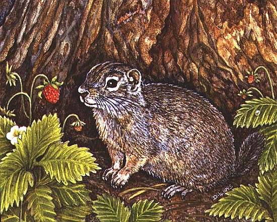 Eagle Creek, Wild Strawberry, Ground Squirrel, 1995 (acrylic on panel)  a Ditz 