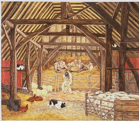 The Shearing Barn  a Ditz 