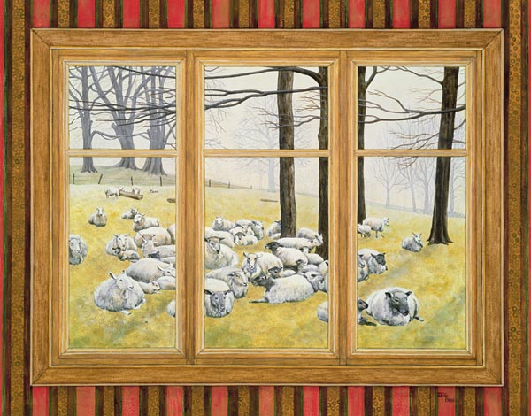 The Sheep Window a Ditz 