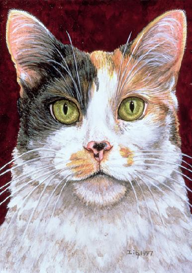 Marigold, 1997 (acrylic on panel) 