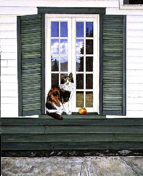 Brush Creek Cat, 1995 