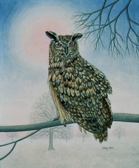 Winter-Owl  a Ditz 