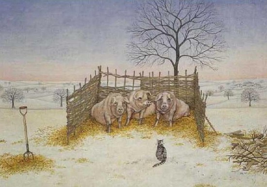 Winter Pigs  a Ditz 