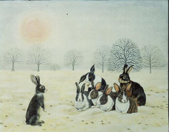 Winter-Rabbits a Ditz 