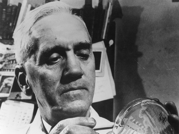 Alexander Fleming (1881-1955) c.1945 (b/w photo)  a English Photographer