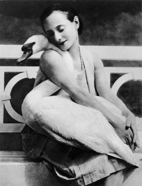 Anna Pavlova with her pet swan Jack, c.1905 a English Photographer
