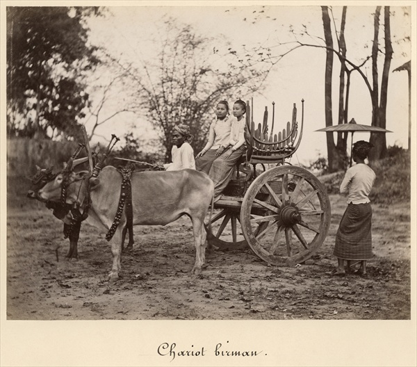 Cart pulled by two oxen at Mandalay, Burma, c.1885 (albumen print from a glass negative) (b/w photo) a English Photographer