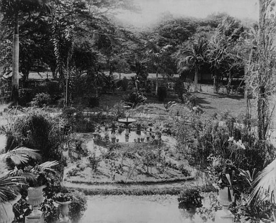 Garden of a Suburban Villa, Port of Spain, Trinidad a English Photographer