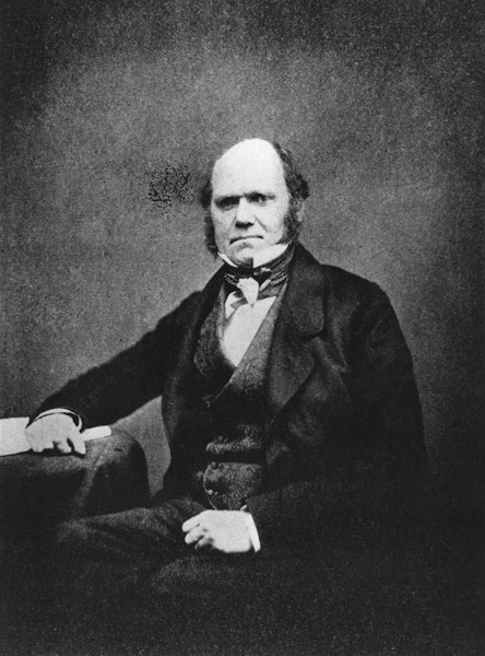 Portrait of Charles Darwin (1809-82) (b/w photo)  a French Photographer