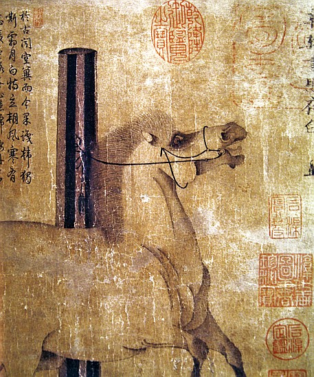 Night-Shining White, Tang dynasty (618-907) c.750 (ink on paper) a Han Gan