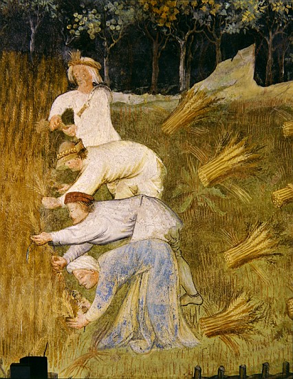 Harvesting wheat, detail a Scuola Italiana