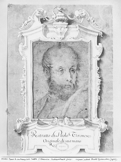 Portrait of a man presumed to be Veronese (Paolo Caliari) (pierre noire on bluish paper) a Scuola Italiana