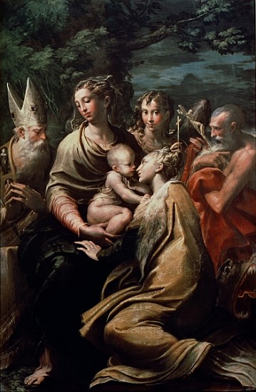 Madonna and Child with Saints, c.1529 a Parmigianino (Francesco Mazzola)