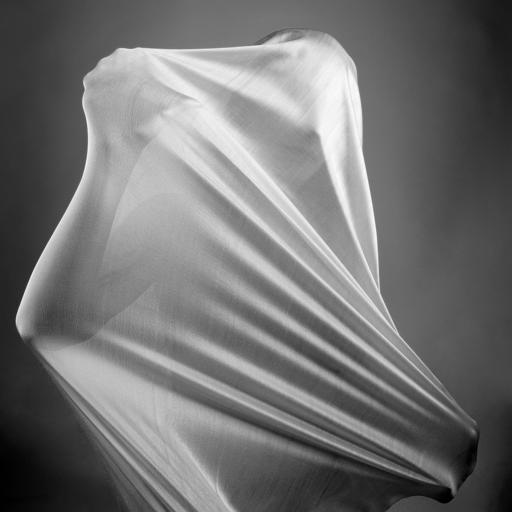In the cocoon a Abbas Arabzadeh