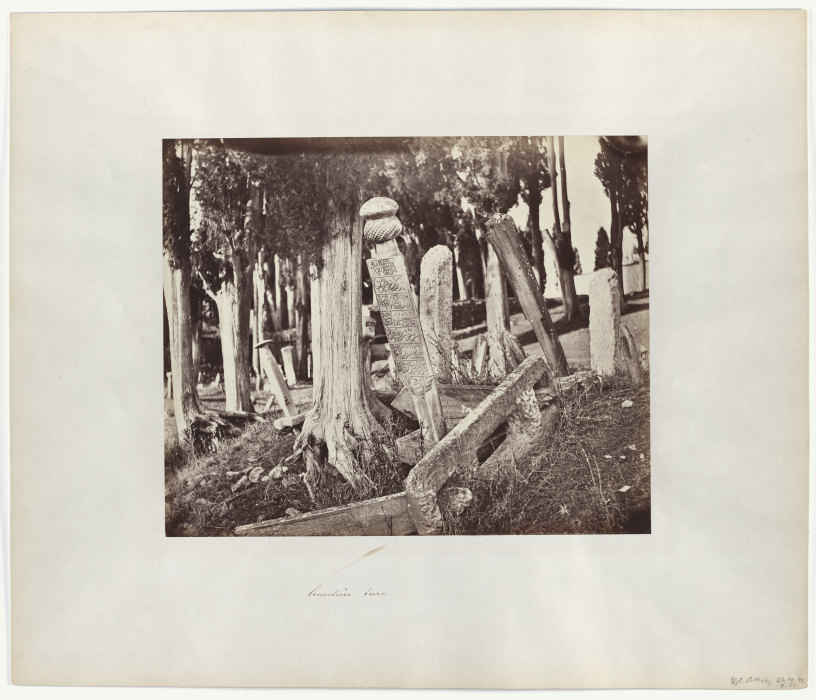 Constantinople: Turkish Cemetery in Scutari a Abdullah Frères
