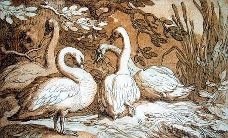 A Group of Swans a Abraham Bloemaert