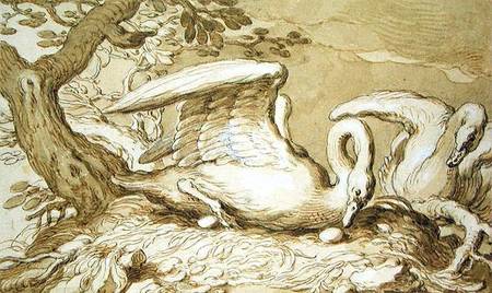 A Swan in her Nest a Abraham Bloemaert