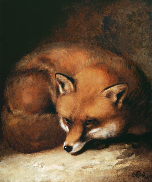 A Fox a Abraham Cooper