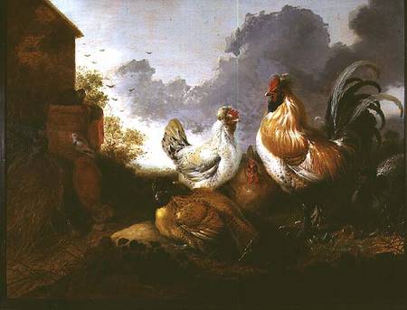 Poultry in a farmyard a Abraham van Calraet