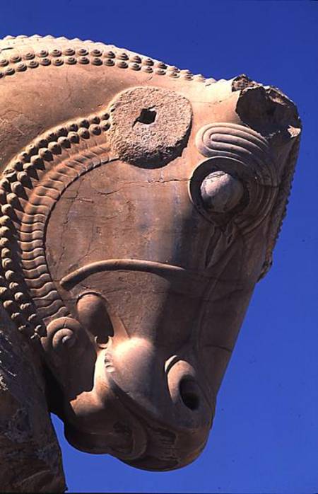 Bull's head on the northern portico of the Throne Hall of Xerxes a Achaemenid