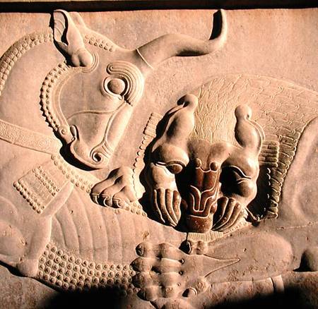 A ferocious lion attacking a bull, relief from the northern stairway facade of the Tripylon a Achaemenid