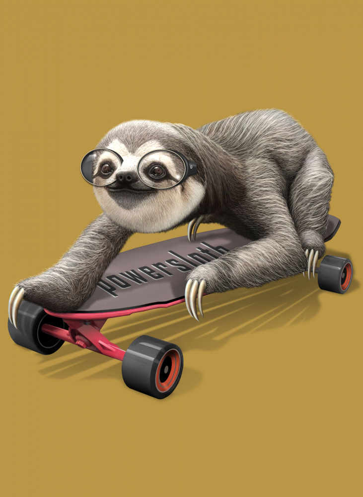sloth on skateboard a Adam Lawless