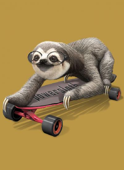 sloth on skateboard
