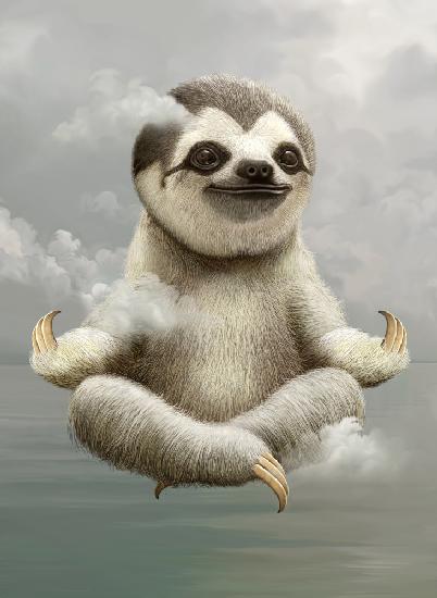 sloth meditating