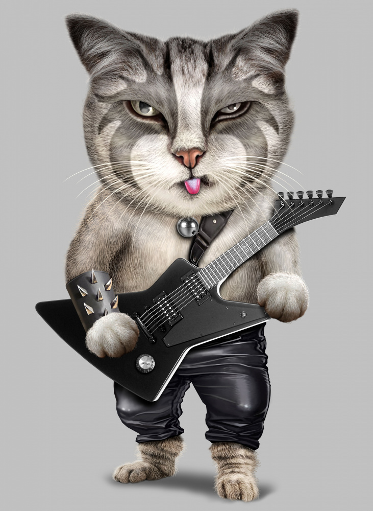 heavy metal cat a Adam Lawless