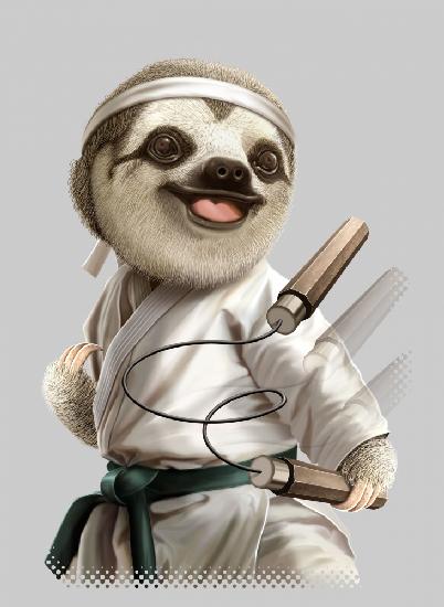 karate sloth