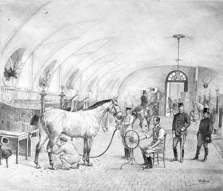 The Royal Stables: morning grooming a Adele Walter