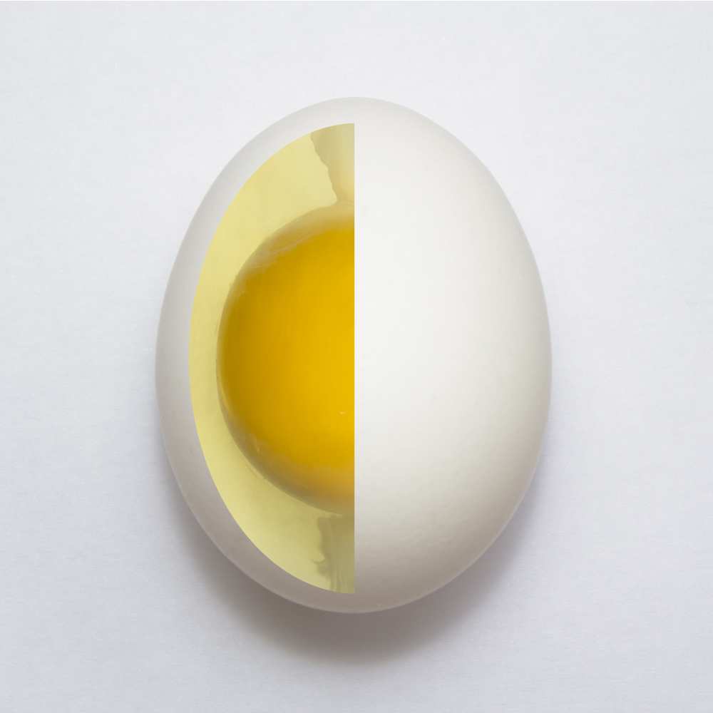 Inner Egg a Adelino Alves