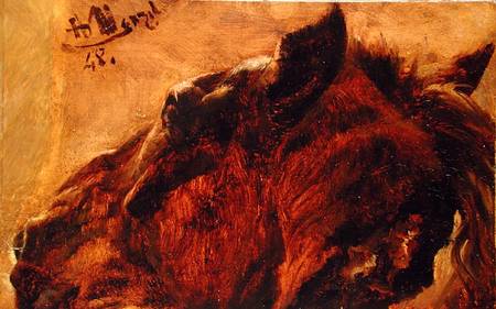 Head of a Dead Horse a Adolph Friedrich Erdmann von Menzel