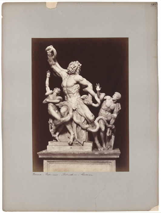 The Laocoon in the Vatican Museum a Adolphe Braun