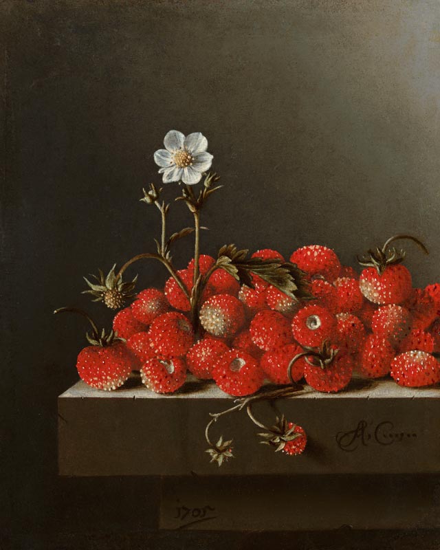 Still Life with Wild Strawberries a Adrian Coorte