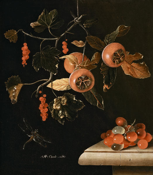Still Life of Medlars, Redcurrants, Grapes and a Dragonfly a Adrian Coorte