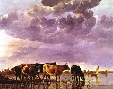 Cows in the Water a Aelbert Cuyp