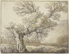 Landscape near Dordrecht