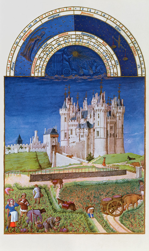 Fascimile of September: harvesting grapes the Limbourg brothers, from the ''Tres Riches Heures du Du a (after) French School