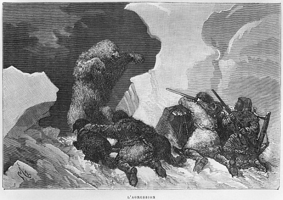 Attack, illustration from ''Expedition du Tegetthoff'' Julius Prayer (1841-1915) a (after) Edouard Riou