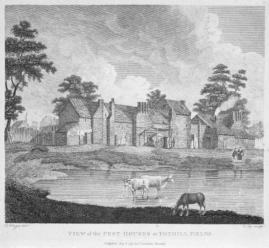 View of the Pest-Houses at Tothill Fields ; engraved by Charles Pye a (after) Edward Dayes