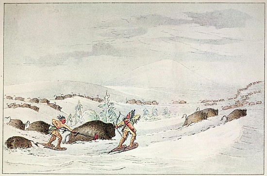 Hunting buffalo on snow-shoes a (after) George Catlin